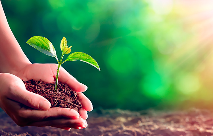 ��Ȧ- ��ȦΪ�Ķ���